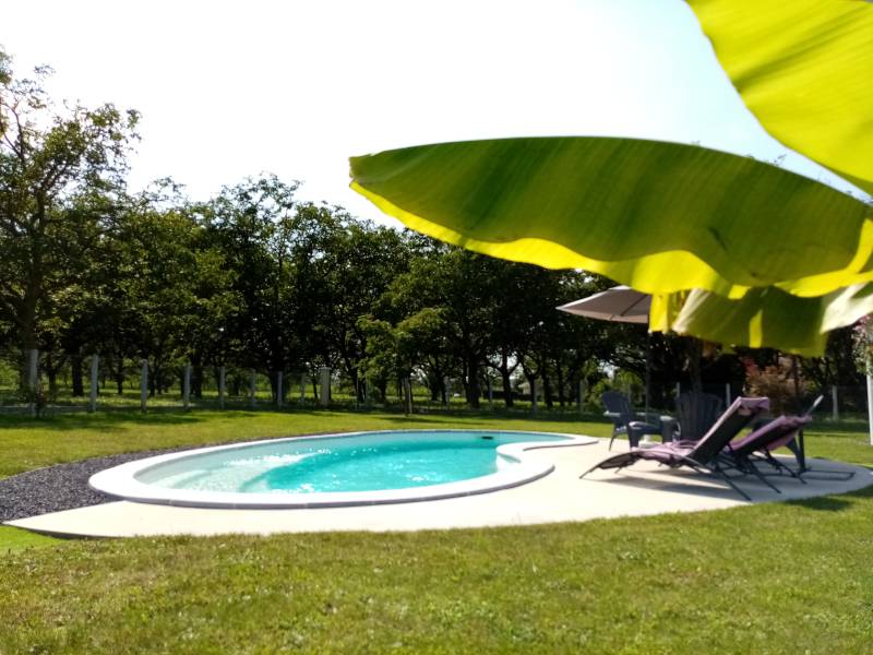 Optima – Piscine coque forme libre moderne – Piscines Provence Polyester à Barjols près d’Aix-en-Provence